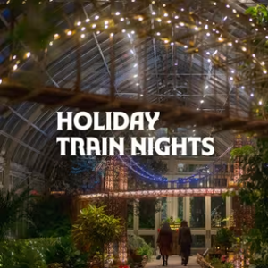 Holiday Train Nights at NYBG (All Ages)